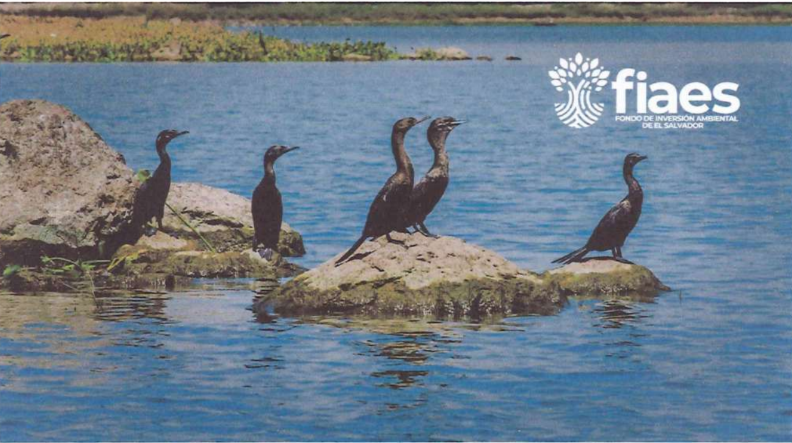 Inversión en elementos claves de conservación del Complejo Humedal Cerrón Grande, El Salvador.