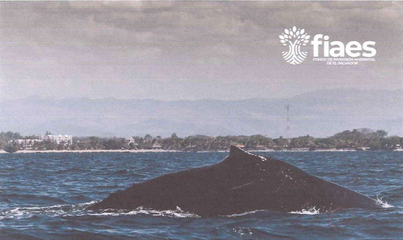 Inversión en elementos claves del área de conservación Los Cóbanos, Sonsonate, El Salvador.