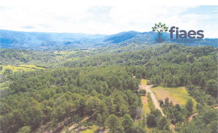 Inversión en los elementos clave de conservación, del área de conservación Nahuaterique, El Salvador.